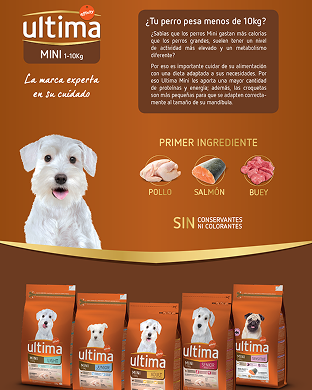 Affinity — pieza 3